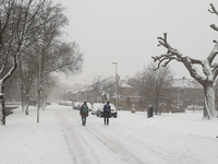 901386 Gezicht op de besneeuwde Prof. Reinwardtlaan te Utrecht, met rechts het Willem de Zwijgerplantsoen. De persoon ...